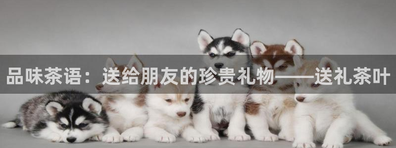 焦作鸿运团体直播平台