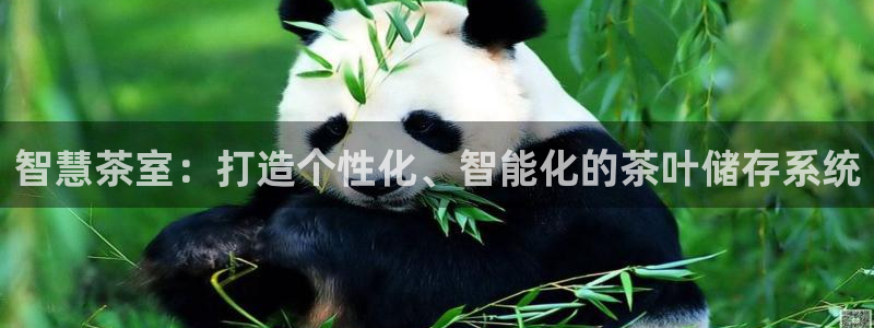 鸿运购彩平台