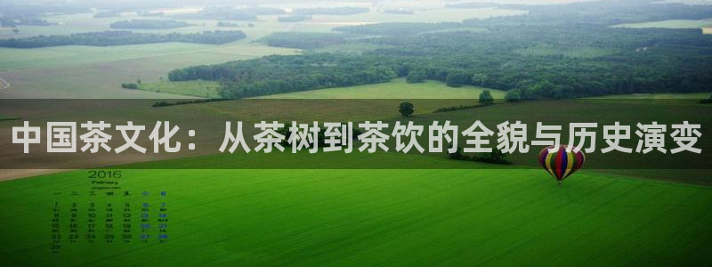 鸿运平台鸿