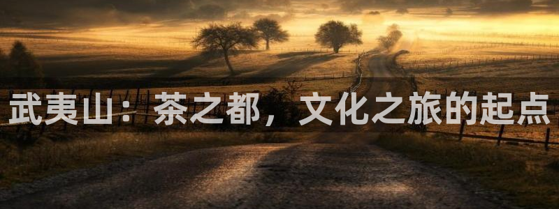 鸿运网投平台