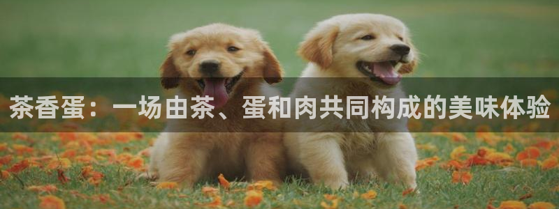 琥珀鸿运是什么平台
