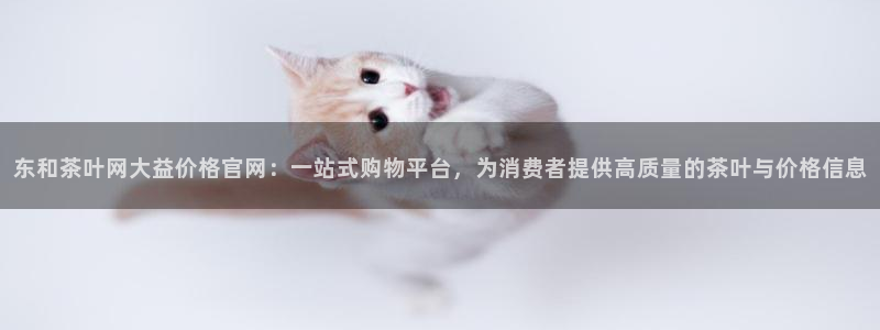 手机版鸿运平台