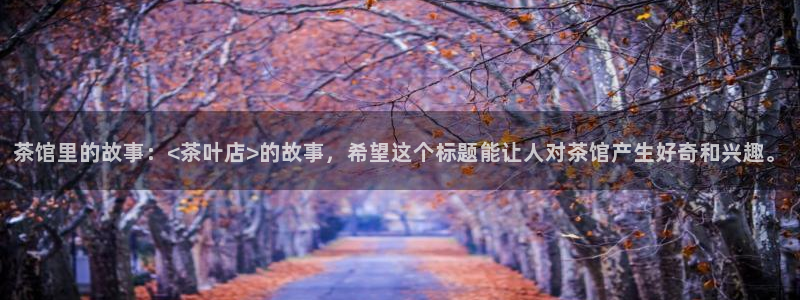 鸿运汽车团购平台