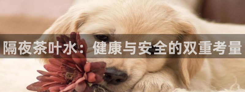琥珀鸿运平台挣钱真实吗