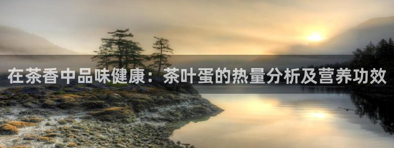 国际鸿运手机版平台