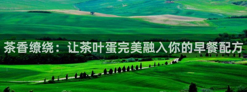 鸿运信息发布平台