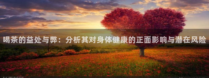 鸿运时时彩平台
