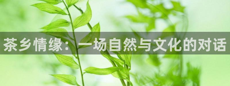 鸿运赌场开户平台
