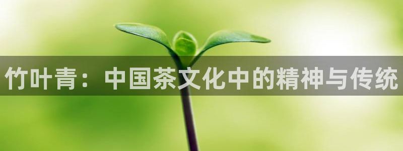 鸿运平台台