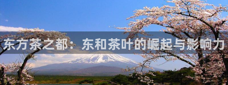 鸿运当头抽奖平台