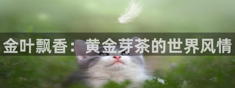 鸿运直接平台