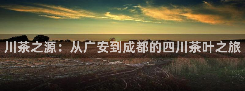 鸿运彩票平台快三