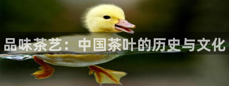 鸿运交易平台app