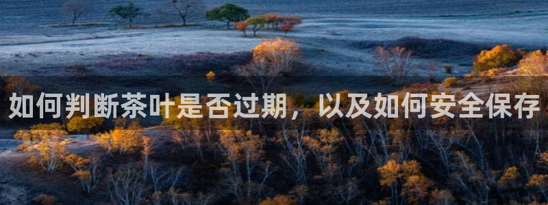 鸿运彩票平台怎样下载