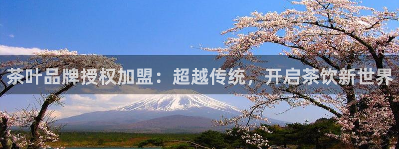 鸿运彩 票诈骗平台