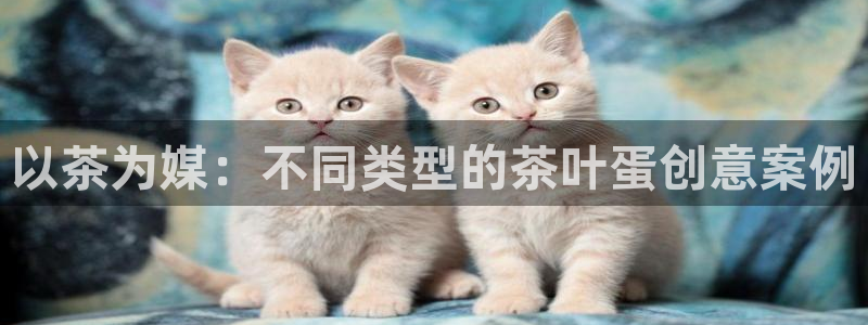 鸿运投注网平台