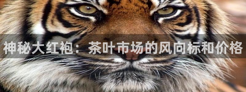 鸿运快三彩票平台