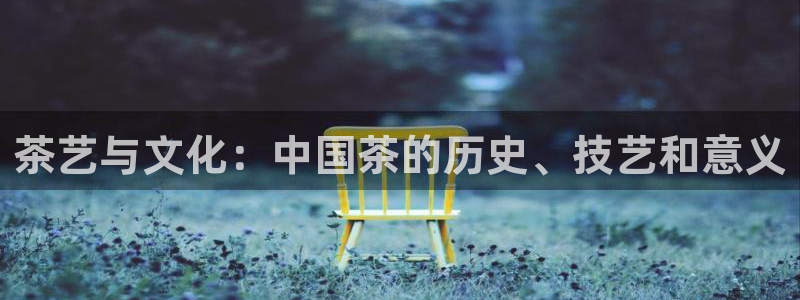 鸿运国际是什么游戏平台