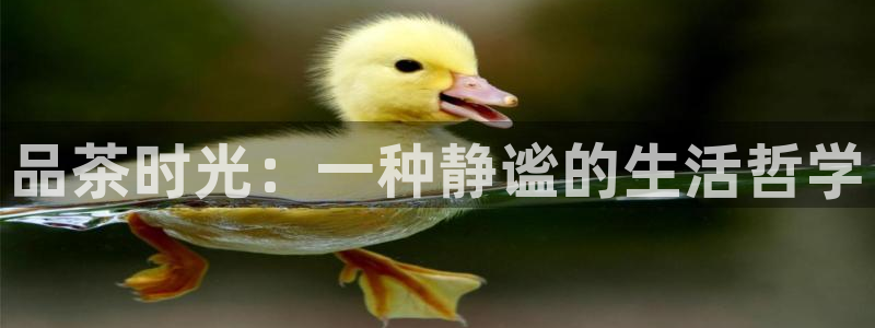 彩票鸿运直播平台