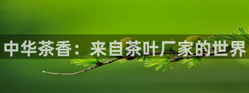 鸿运集团直播平台