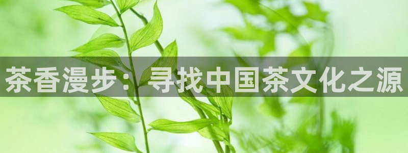 鸿运策略平台股票骗局