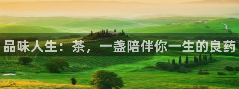 鸿运自助卡密平台