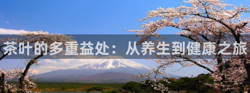 鸿运商城珠宝平台