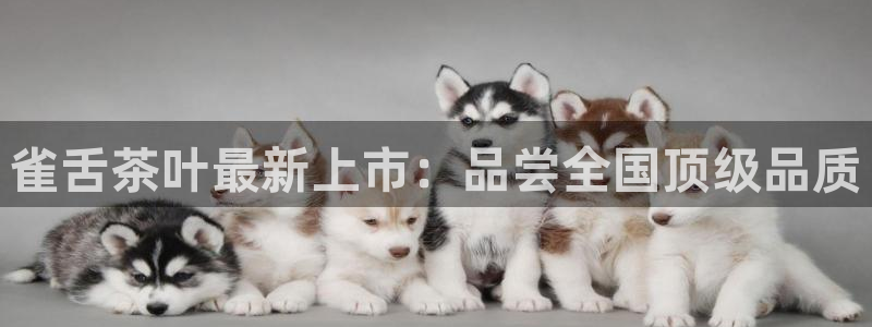鸿运到平台在线客服