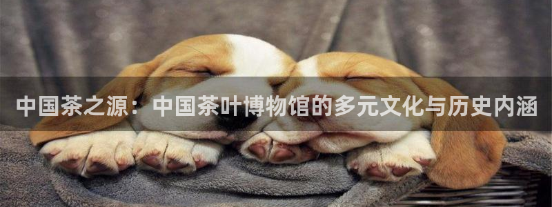 鸿运平台刷在线率