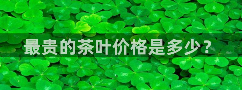 鸿运平台代理