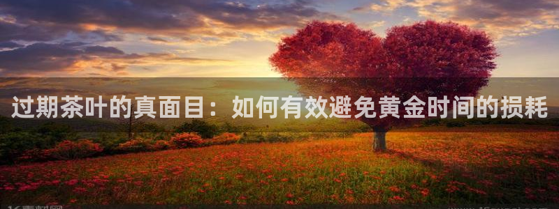 鸿运赌城开户平台