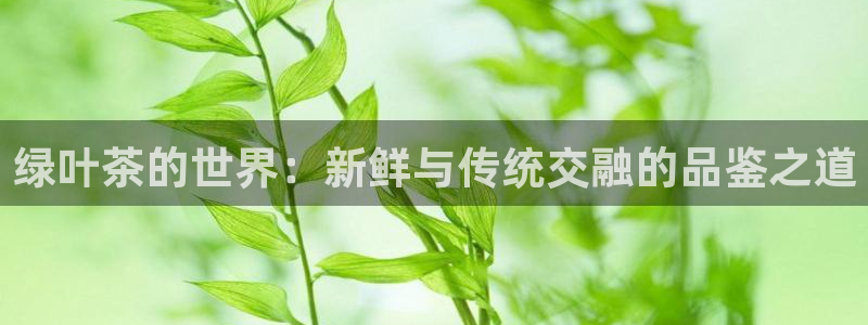 鸿运最新平台