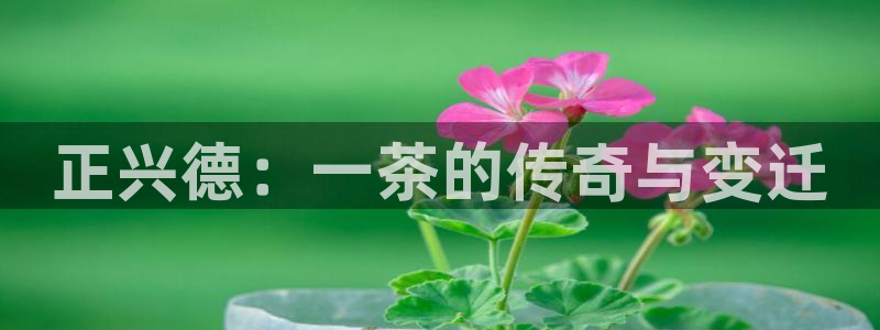 鸿运首选投资平台