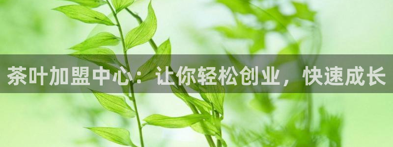 鸿运物业信誉平台