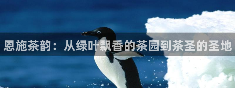 鸿运来手游平台