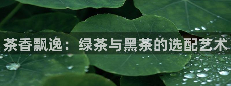 九九鸿运平台