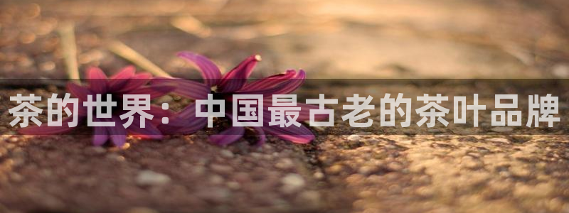鸿运app是什么平台