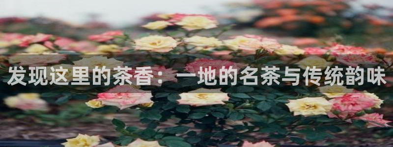 鸿运来平台正规吗