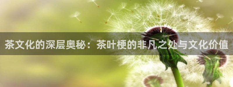 鸿运连锁管理平台