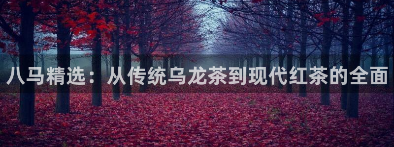 正规鸿运国际平台