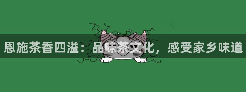 鸿运商通管理平台