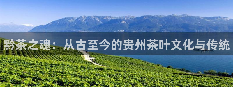 鸿运平台骗局揭秘