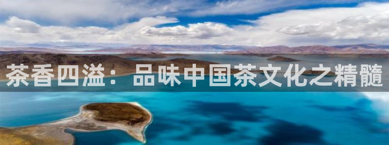 鸿运合拍字画拍卖平台