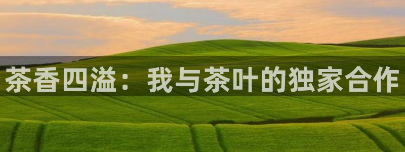 鸿运平台主管