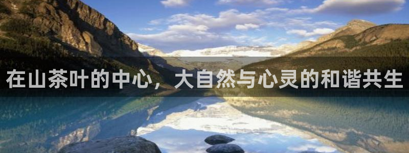 鸿运国际赌场平台