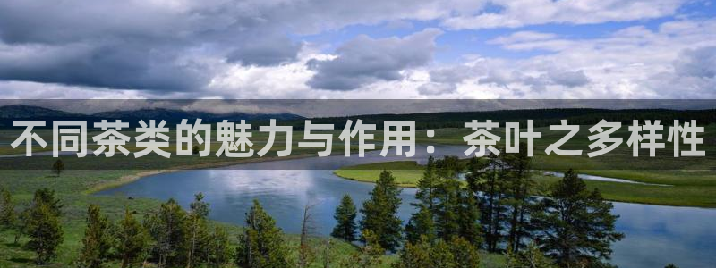 鸿运娱乐平台登录