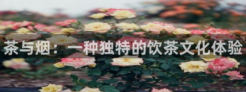 鸿运国际平台登录