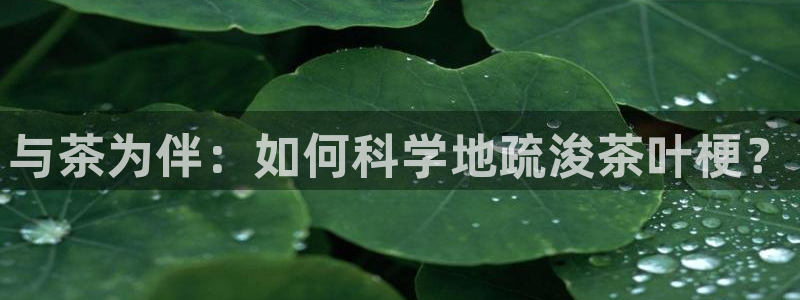 鸿运平台注册流程视频