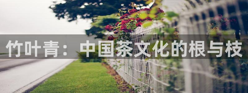 鸿运到平台注册