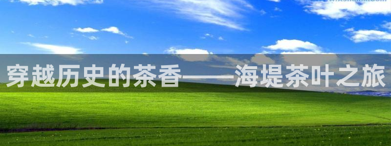 鸿运国际外汇平台